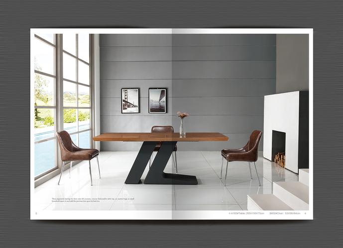 桐邦现代家具餐台椅20163产品画册